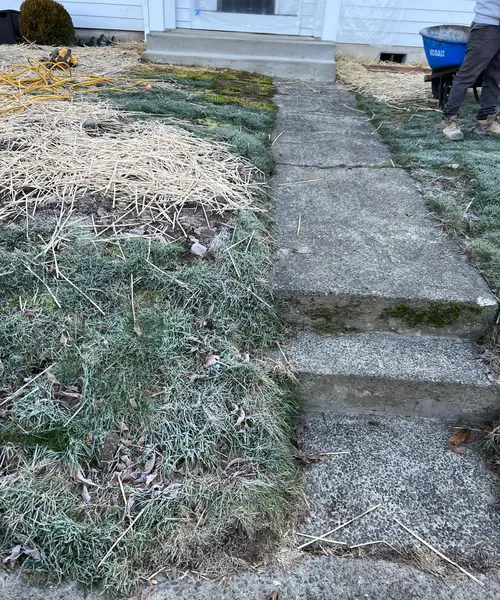 Broom Finish Entry Porch and Steps in Seattle 